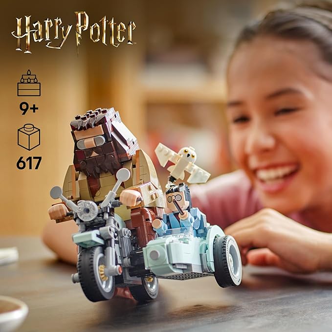 Harry Potter™ - Passeio de moto de Hagrid™ e Harr